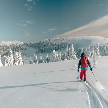 Hillhome & Sauna Donovaly