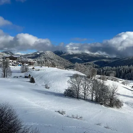 Апартаменты Hillhome & Sauna Доновалы