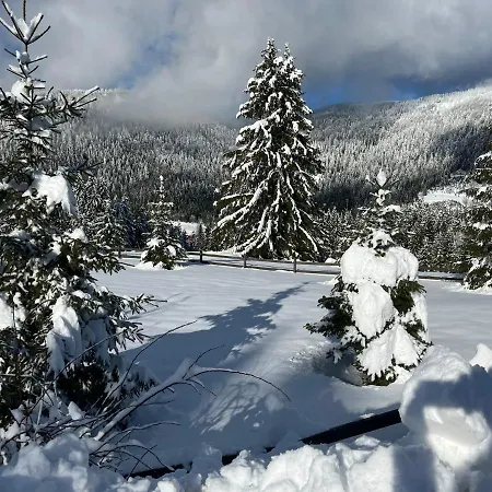 Апартаменты Hillhome & Sauna *