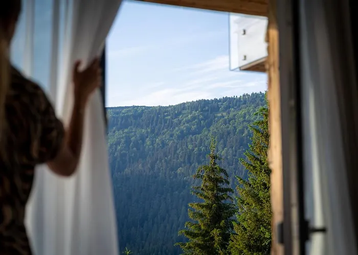 Hillhome & Sauna *